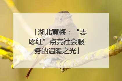 湖北黄梅：“志愿红”点亮社会服务的温暖之光