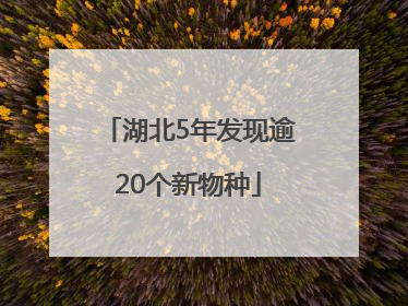 湖北5年发现逾20个新物种