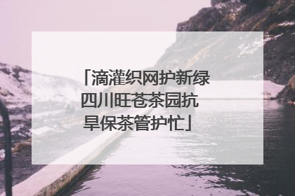 滴灌织网护新绿 四川旺苍茶园抗旱保茶管护忙