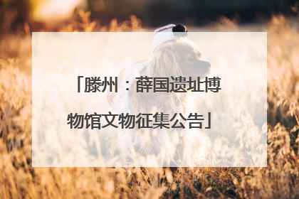滕州：薛国遗址博物馆文物征集公告