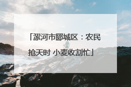 漯河市郾城区：农民抢天时 小麦收割忙
