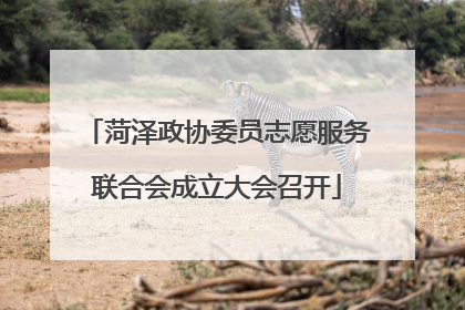 菏泽政协委员志愿服务联合会成立大会召开