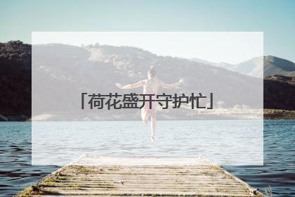 荷花盛开守护忙
