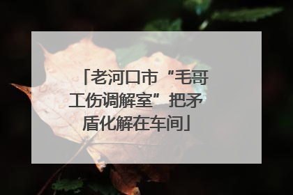 老河口市“毛哥工伤调解室”把矛盾化解在车间