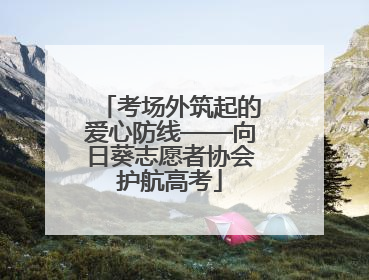 考场外筑起的爱心防线——向日葵志愿者协会护航高考
