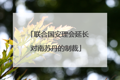联合国安理会延长对南苏丹的制裁