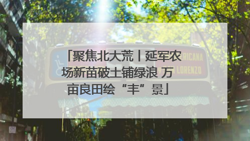 聚焦北大荒丨延军农场新苗破土铺绿浪 万亩良田绘“丰”景