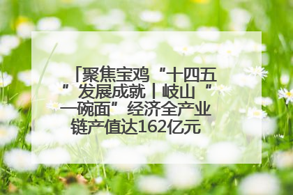 聚焦宝鸡“十四五”发展成就丨岐山“一碗面”经济全产业链产值达162亿元 入选全国典型县