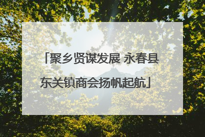 聚乡贤谋发展 永春县东关镇商会扬帆起航