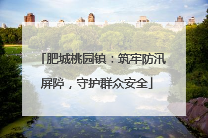 肥城桃园镇：筑牢防汛屏障，守护群众安全