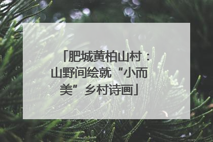 肥城黄柏山村：山野间绘就“小而美”乡村诗画
