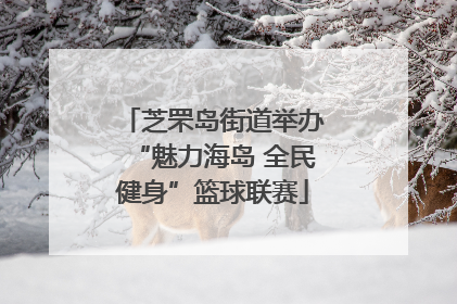 芝罘岛街道举办“魅力海岛 全民健身”篮球联赛