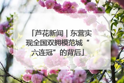 芦花新闻｜东营实现全国双拥模范城“六连冠”的背后