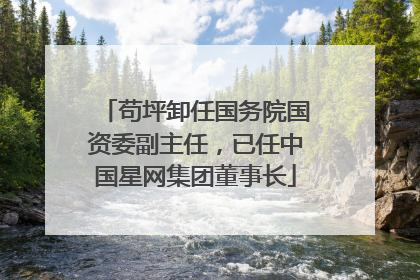 苟坪卸任国务院国资委副主任，已任中国星网集团董事长