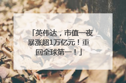 英伟达，市值一夜暴涨超1万亿元！重回全球第一！