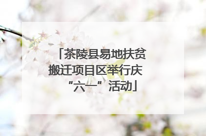 茶陵县易地扶贫搬迁项目区举行庆“六一”活动