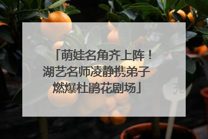 萌娃名角齐上阵！湖艺名师凌静携弟子燃爆杜鹃花剧场