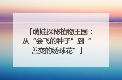 萌娃探秘植物王国：从“会飞的种子”到“善变的绣球花”