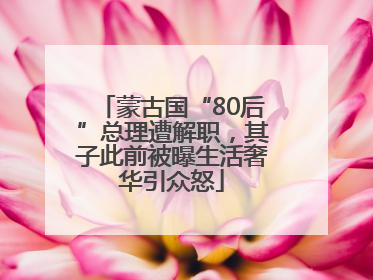 蒙古国“80后”总理遭解职，其子此前被曝生活奢华引众怒