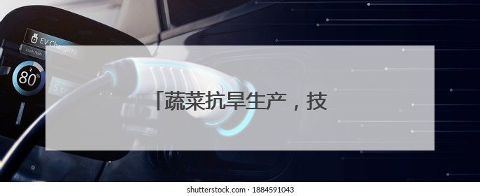 蔬菜抗旱生产，技术指导意见来了！