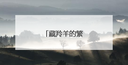 藏羚羊的繁殖迁徙之路