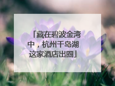 藏在碧波金湾中，杭州千岛湖这家酒店出圈
