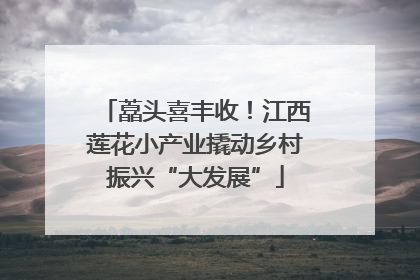 藠头喜丰收！江西莲花小产业撬动乡村振兴“大发展”