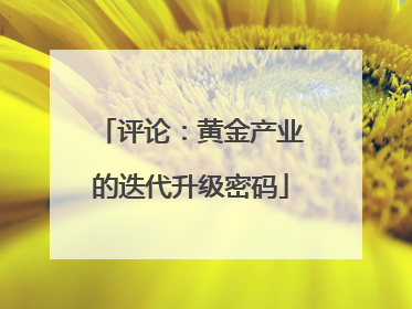 评论：黄金产业的迭代升级密码