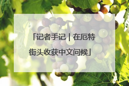 记者手记｜在厄特街头收获中文问候