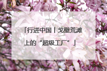 行进中国丨戈壁荒滩上的“超级工厂”