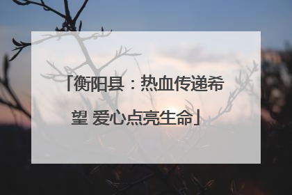 衡阳县：热血传递希望 爱心点亮生命