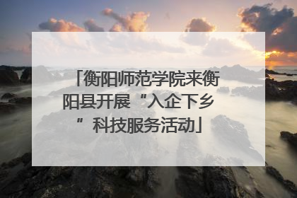 衡阳师范学院来衡阳县开展“入企下乡”科技服务活动