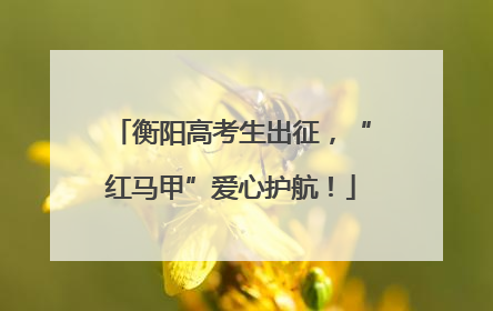 衡阳高考生出征，“红马甲”爱心护航！