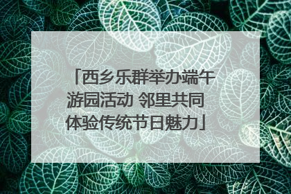 西乡乐群举办端午游园活动 邻里共同体验传统节日魅力