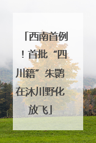 西南首例！首批“四川籍”朱鹮在沐川野化放飞