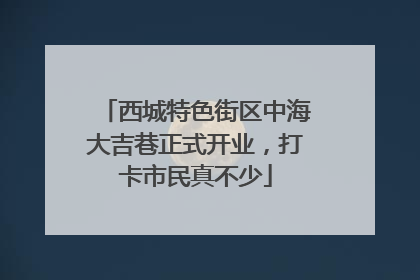 西城特色街区中海大吉巷正式开业，打卡市民真不少