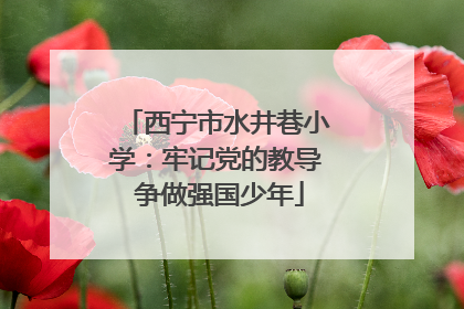 西宁市水井巷小学：牢记党的教导 争做强国少年