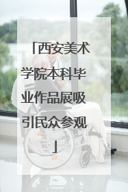 西安美术学院本科毕业作品展吸引民众参观