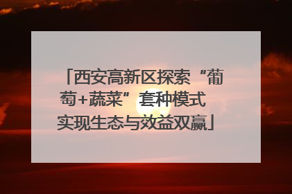 西安高新区探索“葡萄+蔬菜”套种模式 实现生态与效益双赢