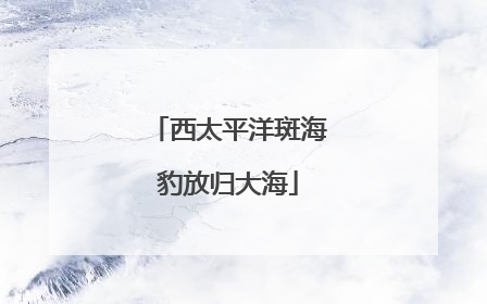 西太平洋斑海豹放归大海
