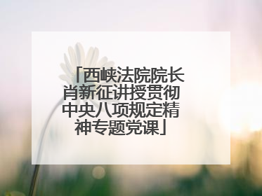 西峡法院院长肖新征讲授贯彻中央八项规定精神专题党课