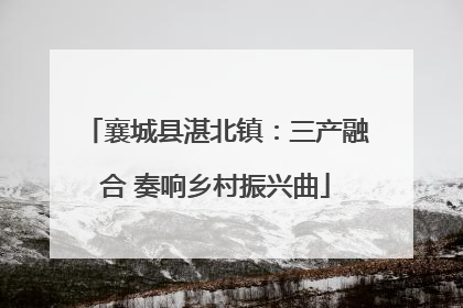 襄城县湛北镇：三产融合 奏响乡村振兴曲
