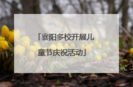 襄阳多校开展儿童节庆祝活动