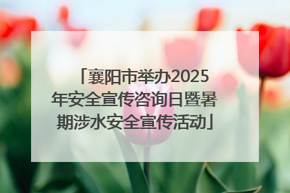 襄阳市举办2025年安全宣传咨询日暨暑期涉水安全宣传活动