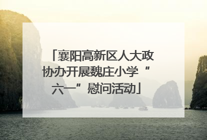 襄阳高新区人大政协办开展魏庄小学“六一”慰问活动