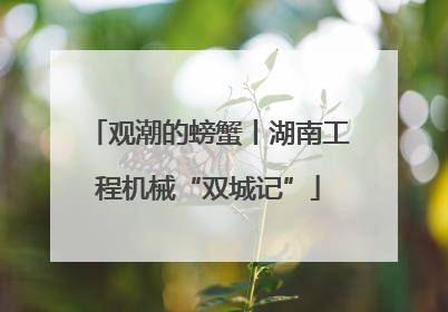 观潮的螃蟹丨湖南工程机械“双城记”
