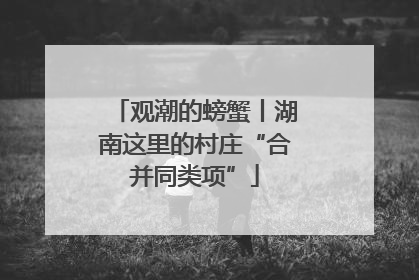 观潮的螃蟹丨湖南这里的村庄“合并同类项”