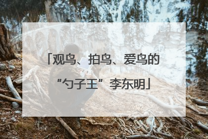 观鸟、拍鸟、爱鸟的“勺子王”李东明