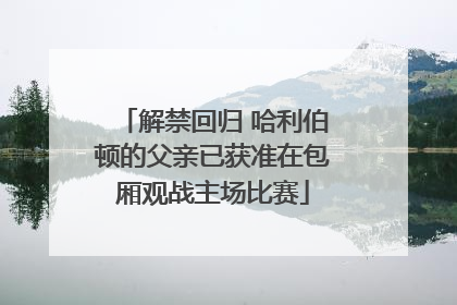 解禁回归 哈利伯顿的父亲已获准在包厢观战主场比赛
