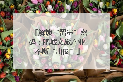 解锁“留量”密码：肥城文旅产业不断“出圈”